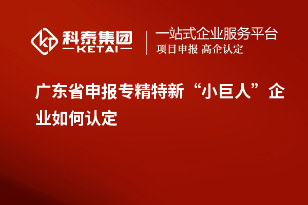 廣東省申報(bào)專(zhuān)精特新“小巨人”企業(yè)如何認(rèn)定