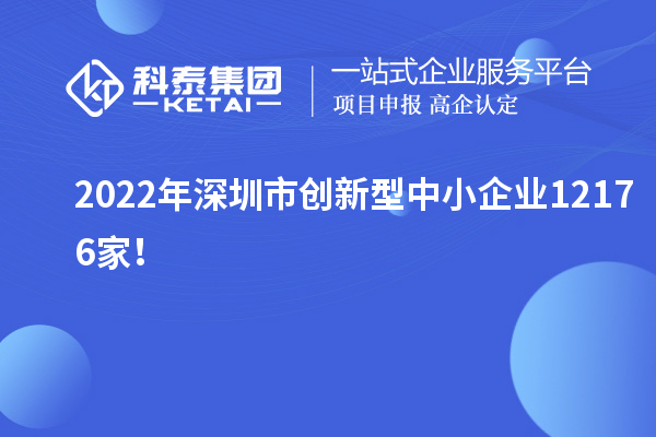 2022年深圳市創(chuàng)新型中小企業(yè)12176家！