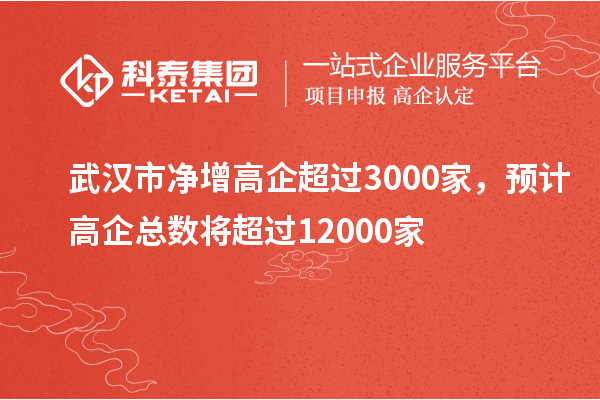 武漢市凈增高企超過3000家，預(yù)計(jì)高企總數(shù)將超過12000家