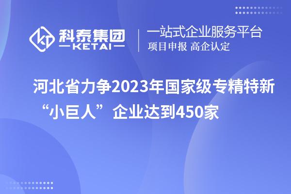 河北省力爭(zhēng)2023年國(guó)家級(jí)專精特新“小巨人”企業(yè)達(dá)到450家