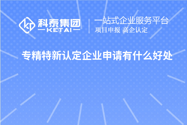 專精特新認(rèn)定企業(yè)申請(qǐng)有什么好處