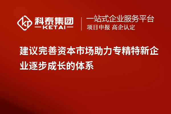 建議完善資本市場(chǎng)助力專精特新企業(yè)逐步成長(zhǎng)的體系