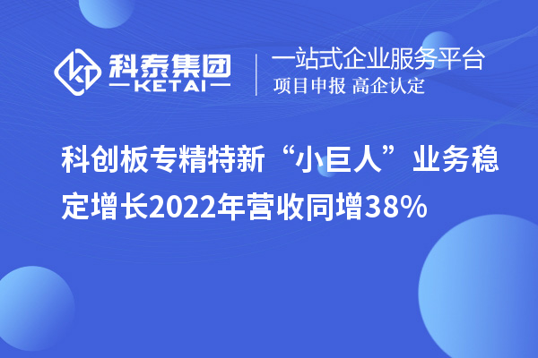 科創(chuàng)板專精特新“小巨人”業(yè)務(wù)穩(wěn)定增長 2022年?duì)I收同增38%