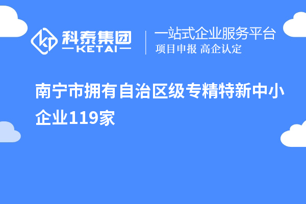 南寧市擁有自治區(qū)級專精特新中小企業(yè)119家