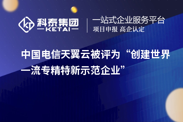 中國電信天翼云被評為“創(chuàng)建世界一流專精特新示范企業(yè)”