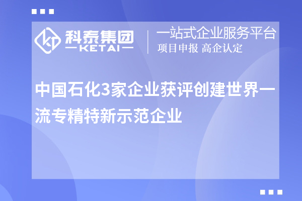 中國(guó)石化3家企業(yè)獲評(píng)創(chuàng)建世界一流專精特新示范企業(yè)