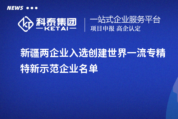 新疆兩企業(yè)入選創(chuàng)建世界一流專精特新示范企業(yè)名單