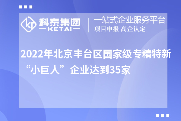 2022年北京豐臺區(qū)國家級專精特新“小巨人”企業(yè)達到35家