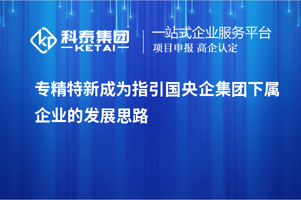 專精特新成為指引國央企集團(tuán)下屬企業(yè)的發(fā)展思路