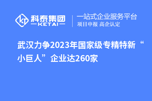 武漢力爭(zhēng)2023年國(guó)家級(jí)專精特新“小巨人”企業(yè)達(dá)260家