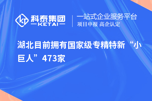 湖北目前擁有國家級專精特新“小巨人”473家