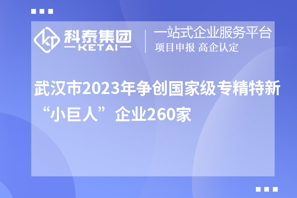 武漢市2023年爭創(chuàng)國家級專精特新“小巨人”企業(yè)260家