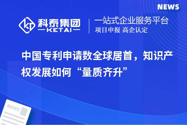 中國專利申請數(shù)全球居首，知識產(chǎn)權發(fā)展如何“量質齊升”