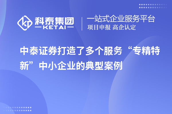 中泰證券打造了多個(gè)服務(wù)“專精特新”中小企業(yè)的典型案例