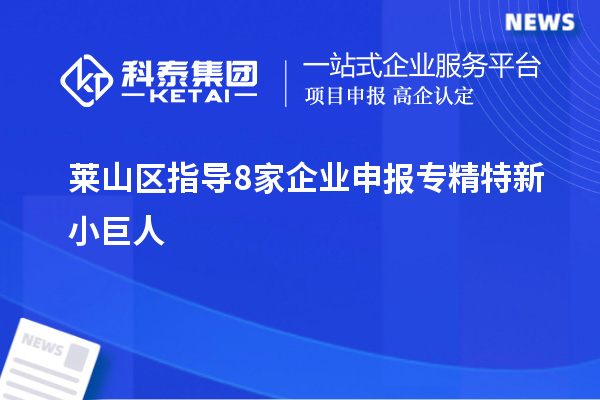 萊山區(qū)指導8家企業(yè)申報專精特新小巨人