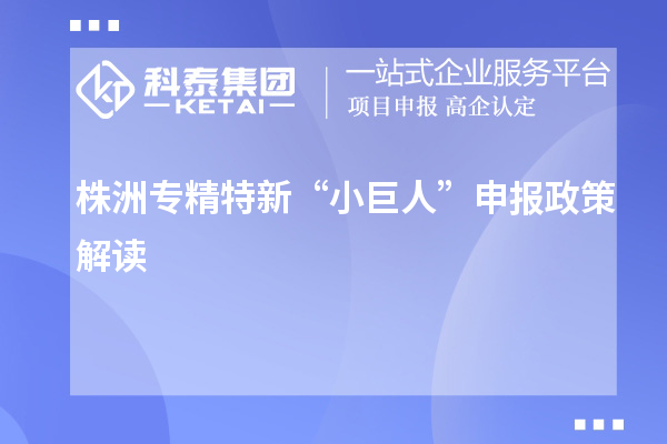 株洲專精特新“小巨人”申報(bào)政策解讀