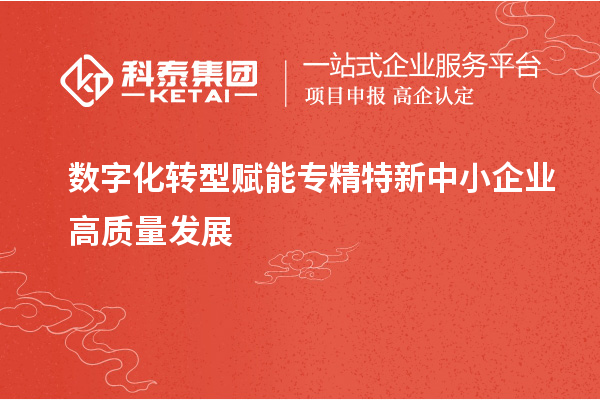 數(shù)字化轉型賦能專精特新中小企業(yè)高質量發(fā)展