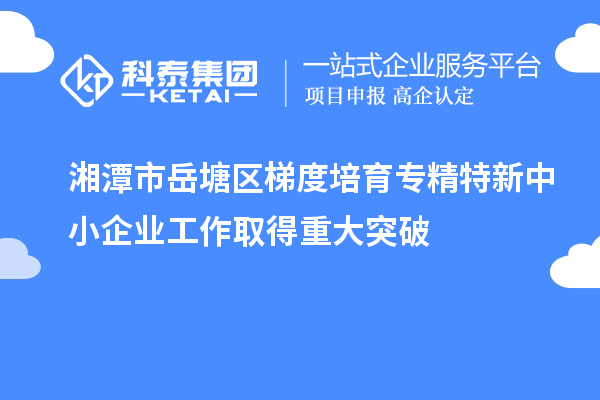 湘潭市岳塘區(qū)梯度培育專精特新中小企業(yè)工作取得重大突破