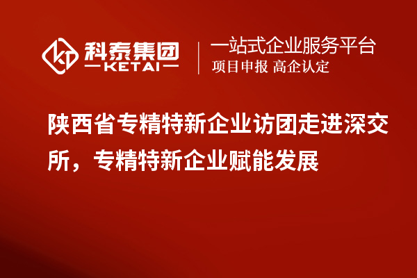 陜西省專精特新企業(yè)訪團(tuán)走進(jìn)深交所，專精特新企業(yè)賦能發(fā)展