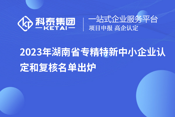 2023年湖南省專精特新中小企業(yè)認(rèn)定和復(fù)核名單出爐