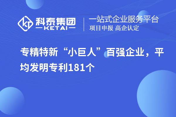 專精特新“小巨人”百強企業(yè)，平均發(fā)明專利181個