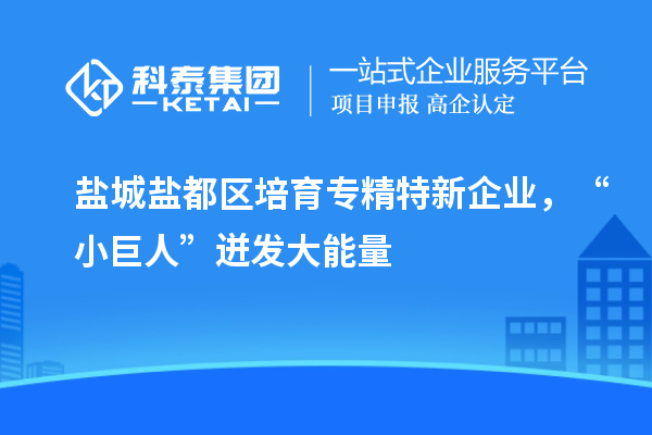 鹽城鹽都區(qū)培育專精特新企業(yè)，“小巨人”迸發(fā)大能量