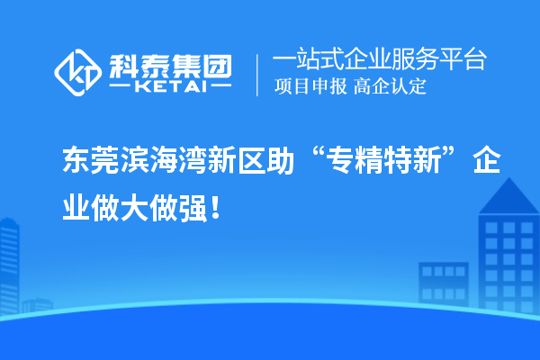 東莞濱海灣新區(qū)助“專精特新”企業(yè)做大做強！