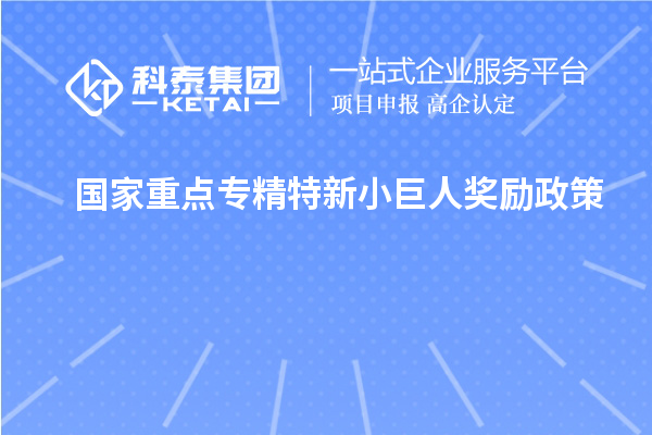 國家重點專精特新小巨人獎勵政策