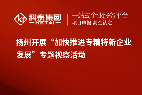 揚(yáng)州開展“加快推進(jìn)專精特新企業(yè)發(fā)展”專題視察活動(dòng)