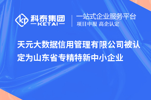 天元大數(shù)據(jù)信用管理有限公司被認(rèn)定為山東省專精特新中小企業(yè)