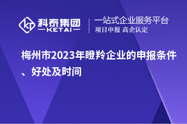 梅州市2023年瞪羚企業(yè)的申報(bào)條件、好處及時(shí)間