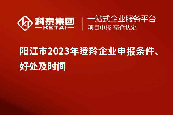 陽(yáng)江市2023年瞪羚企業(yè)申報(bào)條件、好處及時(shí)間