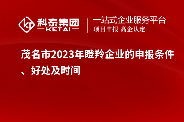 茂名市2023年瞪羚企業(yè)的申報條件、好處及時間