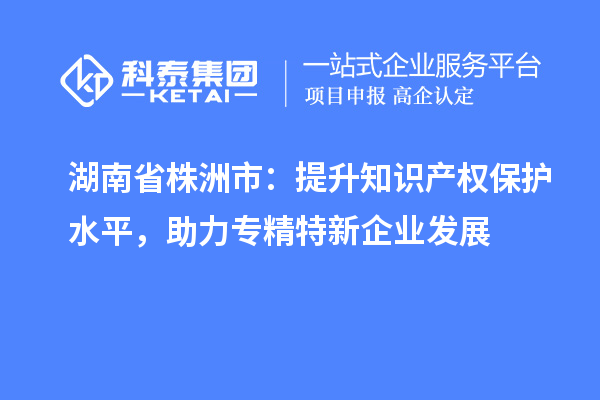 湖南省株洲市：提升知識產(chǎn)權(quán)保護(hù)水平，助力專精特新企業(yè)發(fā)展