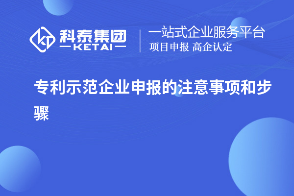 專利示范企業(yè)申報(bào)的注意事項(xiàng)和步驟