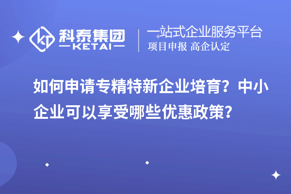 如何申請(qǐng)專精特新企業(yè)培育？中小企業(yè)可以享受哪些優(yōu)惠政策？