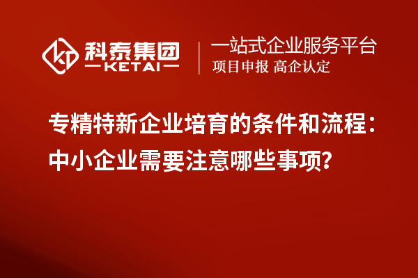 專精特新企業(yè)培育的條件和流程：中小企業(yè)需要注意哪些事項？