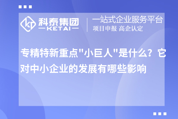 專精特新重點(diǎn)小巨人是什么？它對中小企業(yè)的發(fā)展有哪些影響