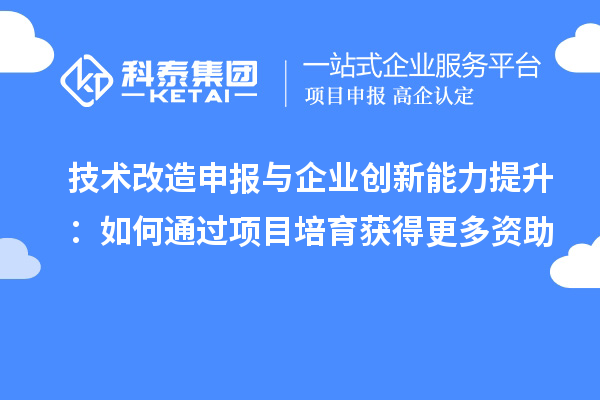 技術(shù)改造申報與企業(yè)創(chuàng)新能力提升：如何通過項目培育獲得更多資助