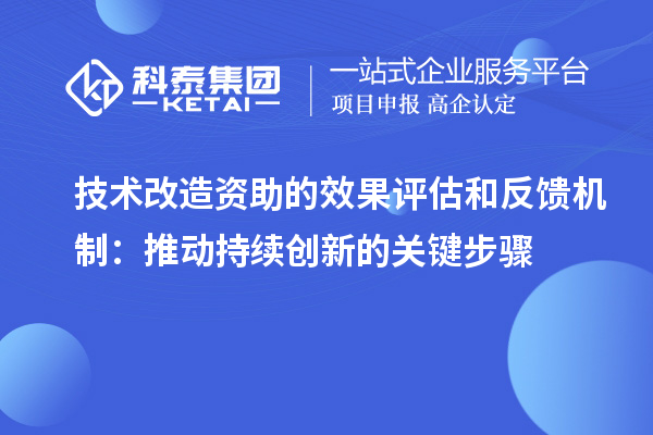 技術改造資助的效果評估和反饋機制：推動持續(xù)創(chuàng)新的關鍵步驟