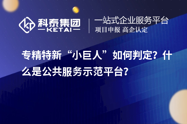 專精特新“小巨人”如何判定？什么是公共服務(wù)示范平臺(tái)？