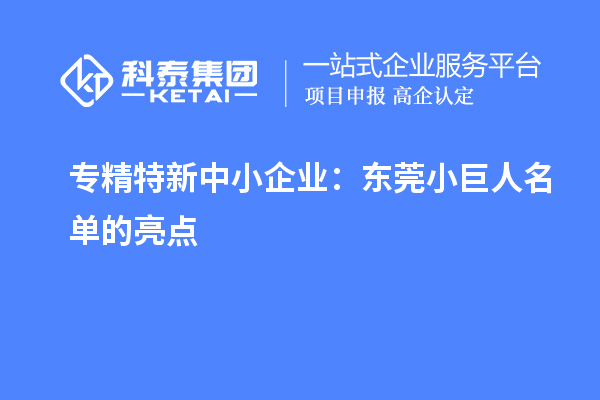 專精特新中小企業(yè)：東莞小巨人名單的亮點