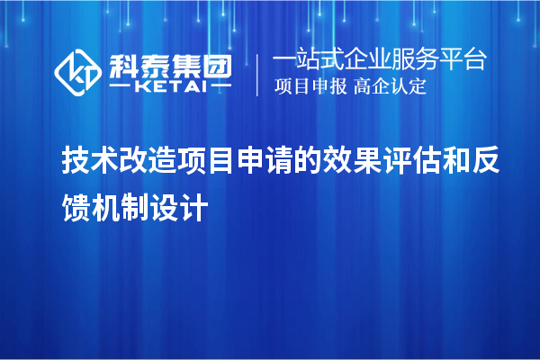 技術(shù)改造項目申請的成果評估與反饋機制探析		 		