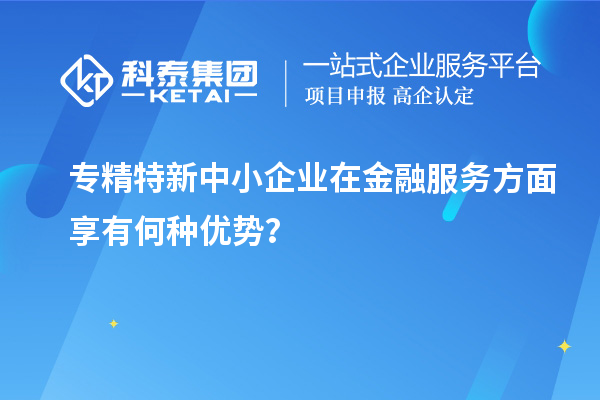 專精特新中小企業(yè)在金融服務(wù)方面享有何種優(yōu)勢(shì)？