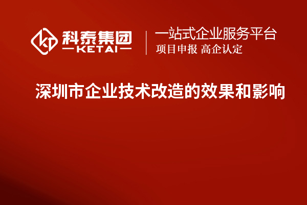 深圳市企業(yè)技術(shù)改造：成果評(píng)估與影響分析