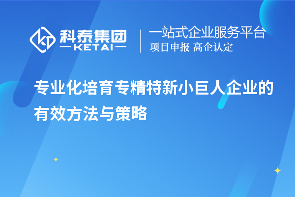 專業(yè)化培育專精特新小巨人企業(yè)的有效方法與策略		 		