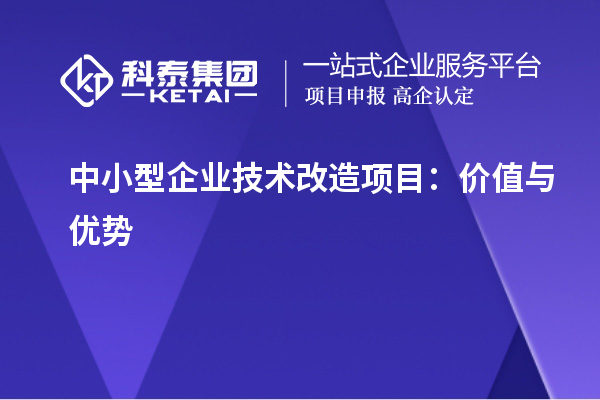 中小型企業(yè)技術(shù)改造項(xiàng)目：價值與優(yōu)勢	 		