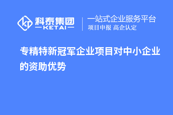 專精特新冠軍企業(yè)項目對中小企業(yè)的資助優(yōu)勢