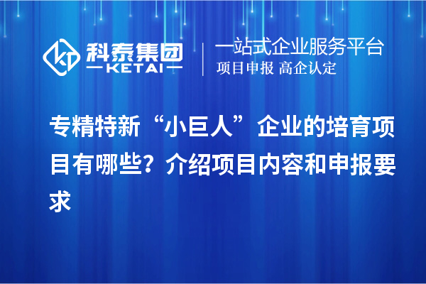 專精特新“小巨人”企業(yè)的培育項(xiàng)目有哪些？介紹項(xiàng)目?jī)?nèi)容和申報(bào)要求