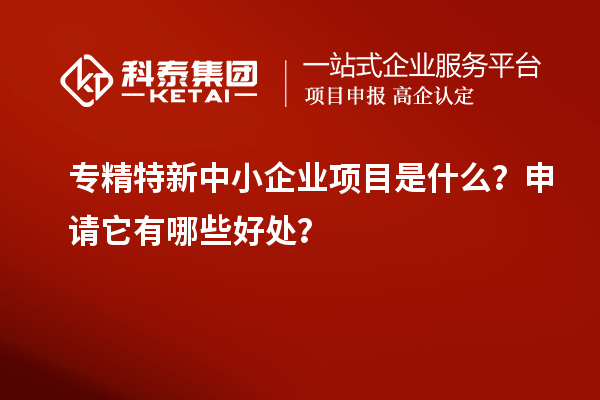 專精特新中小企業(yè)項目是什么？申請它有哪些好處？